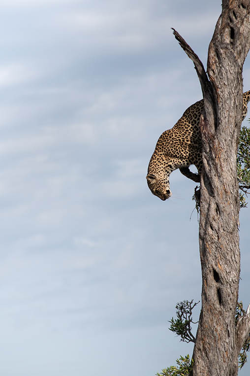 Kenya: Hidden Gems
