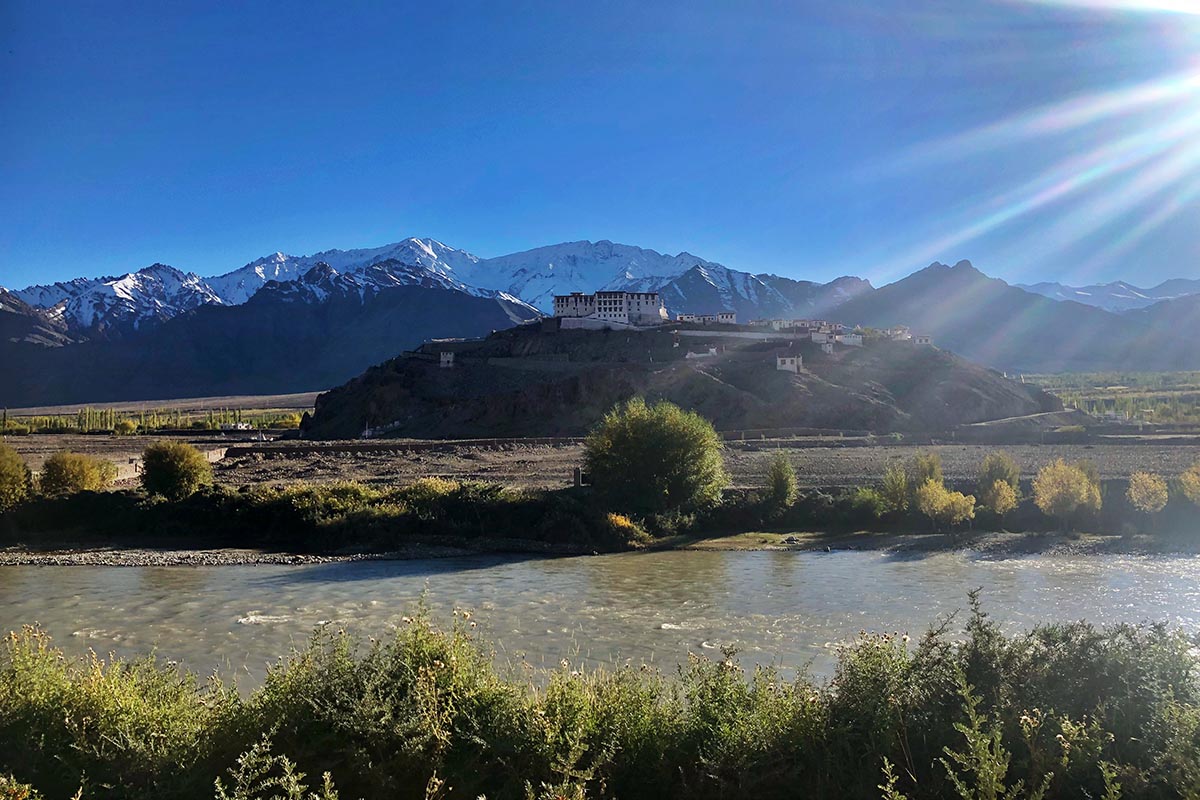 Peaches and Silver in Ladakh
