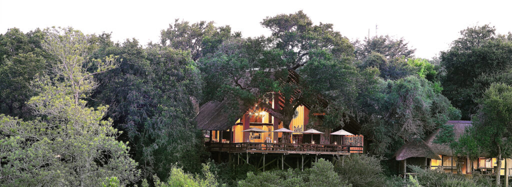 A raised, lit lodge deck with umbrellas nestled among dense forest canopy, with a thatched roof building visible nearby at dusk.