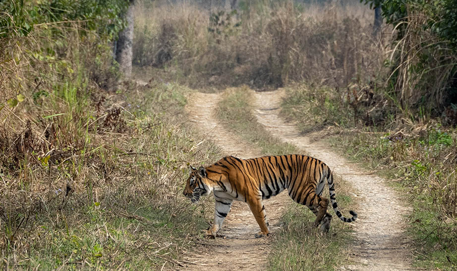 nepal-gallery-landscapeArtboard-7