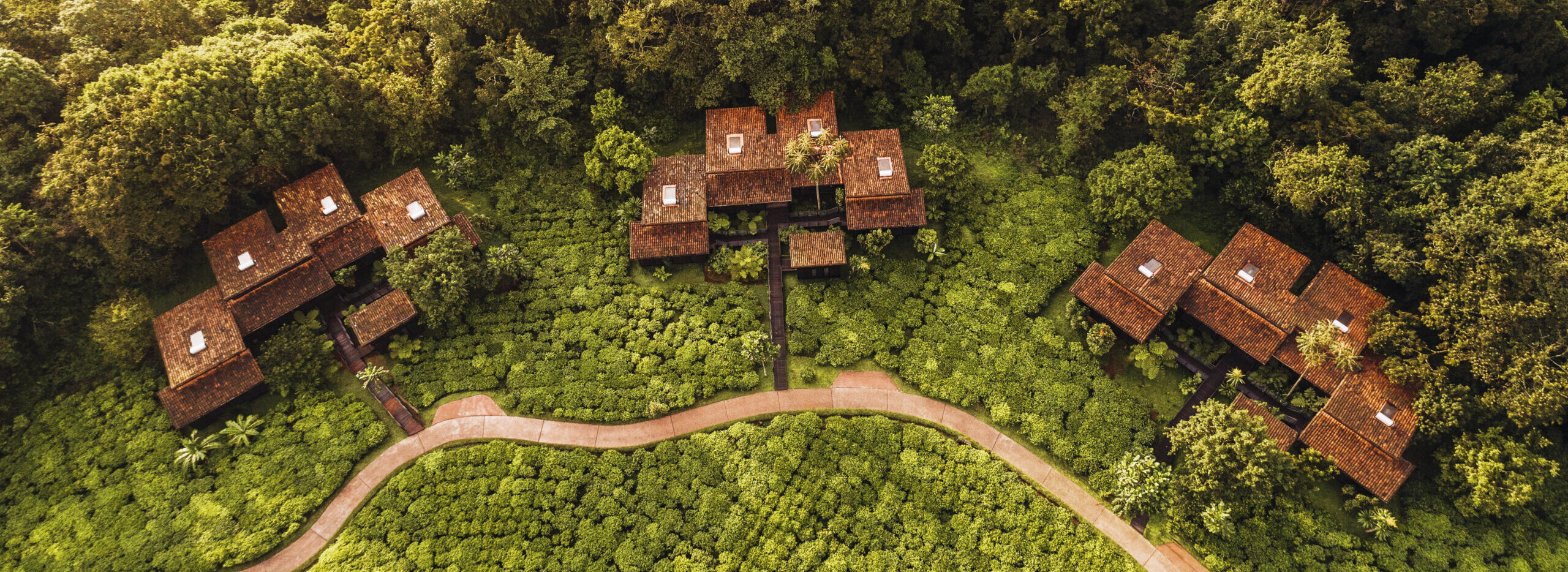One&Only Nyungwe House Nyungwe National Park