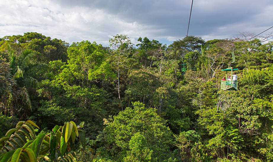panama-gallery-landscape-Artboard-8