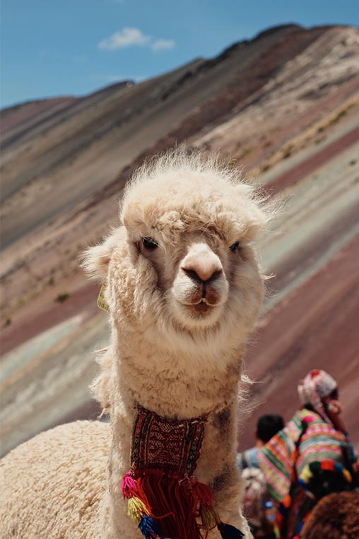 peru-iconsArtboard-1