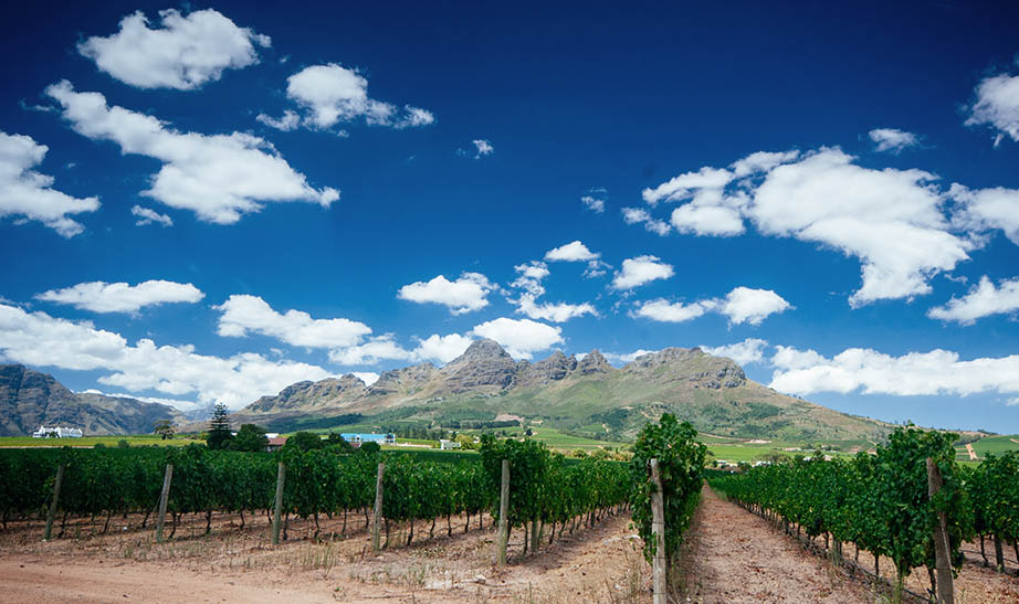south-africa-gallery-landscape-Artboard-7