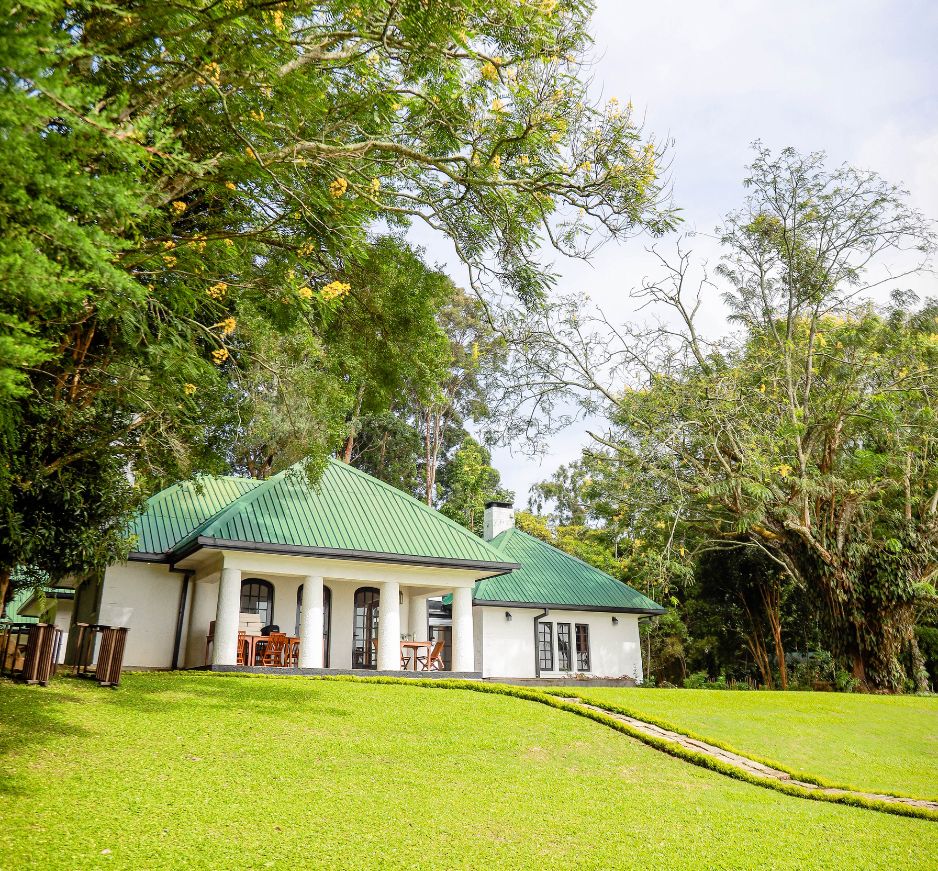 Thotalagala, Hill Country