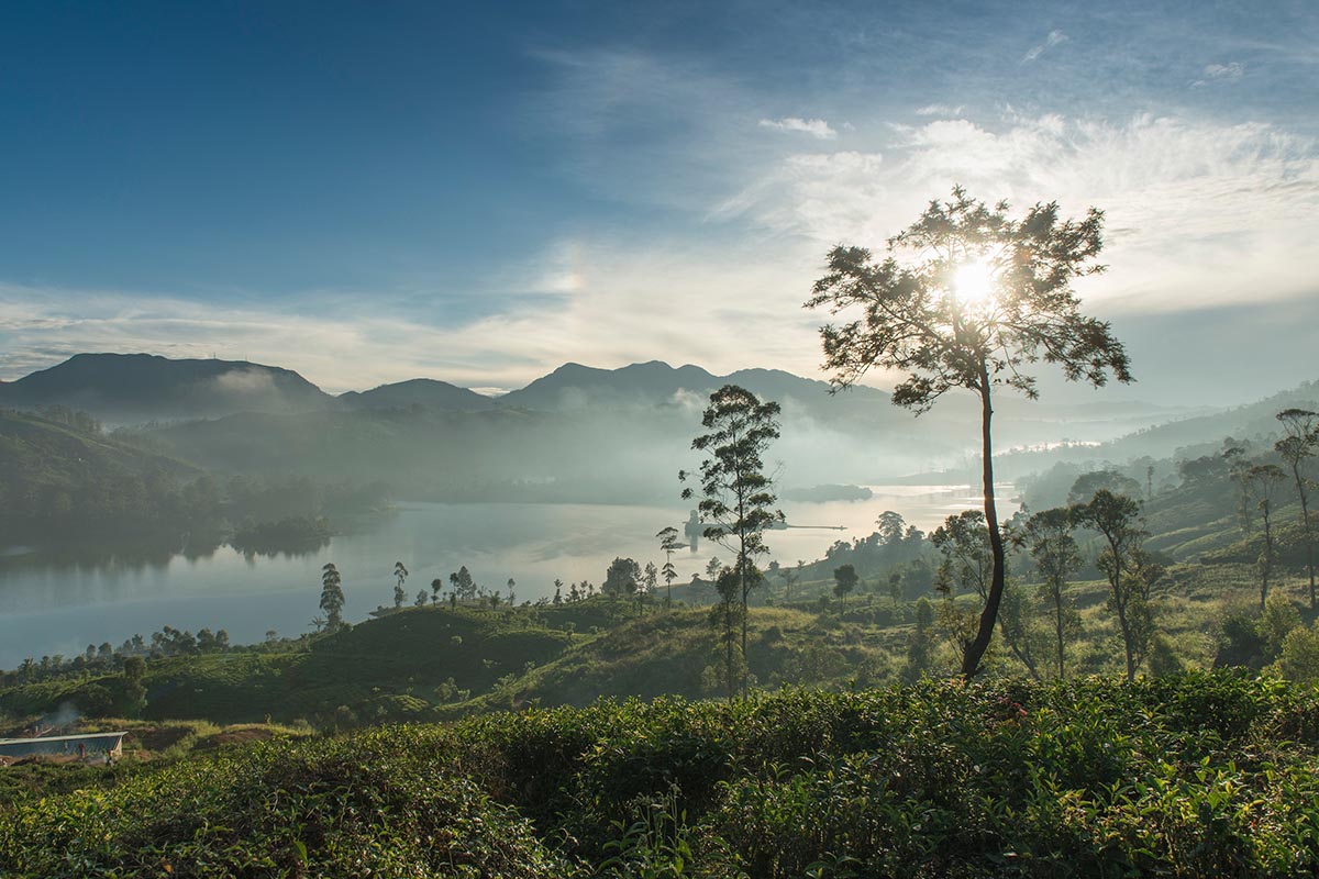 Explore the rural beauty of Sri Lanka’s countryside with Village Riders