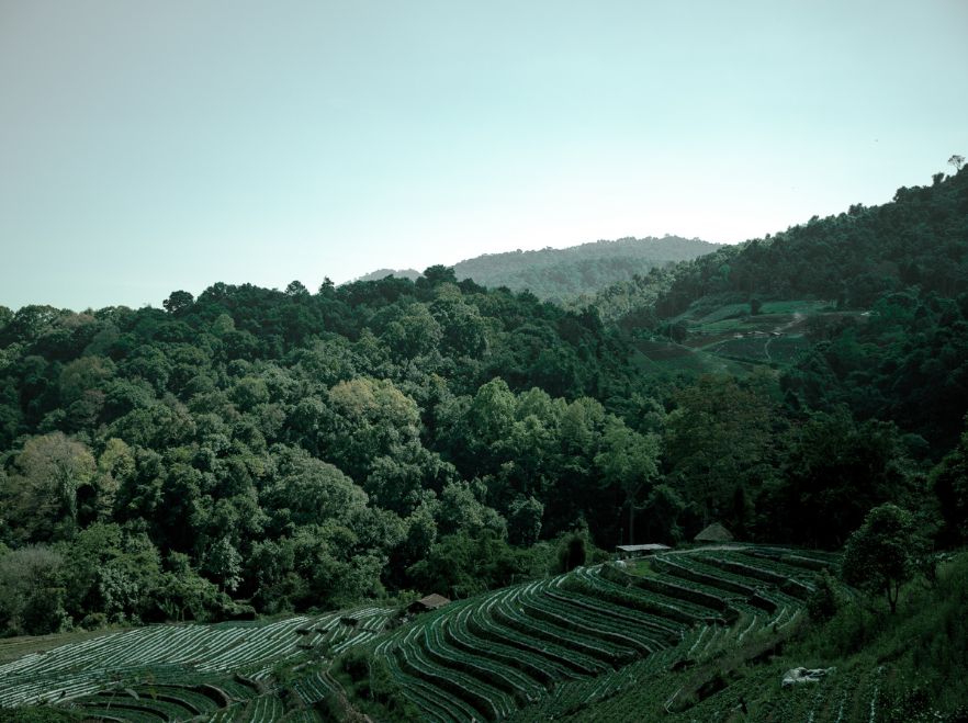 Eco Valley Views, Raya Heritage, Chiang Mai, Thailand