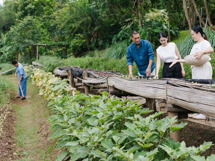 Organic Garden, Raya Heritage, Chiang Mai, Thailand