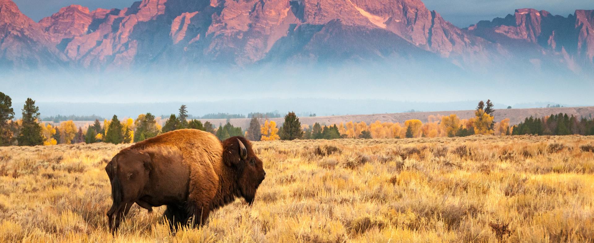 Wyoming