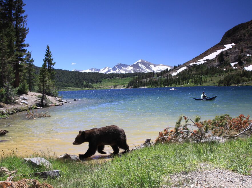 Yosemite National Park, California, USA