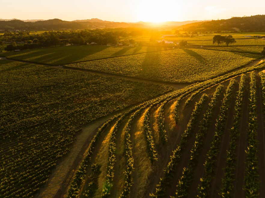 Sonoma Valley, California, USA