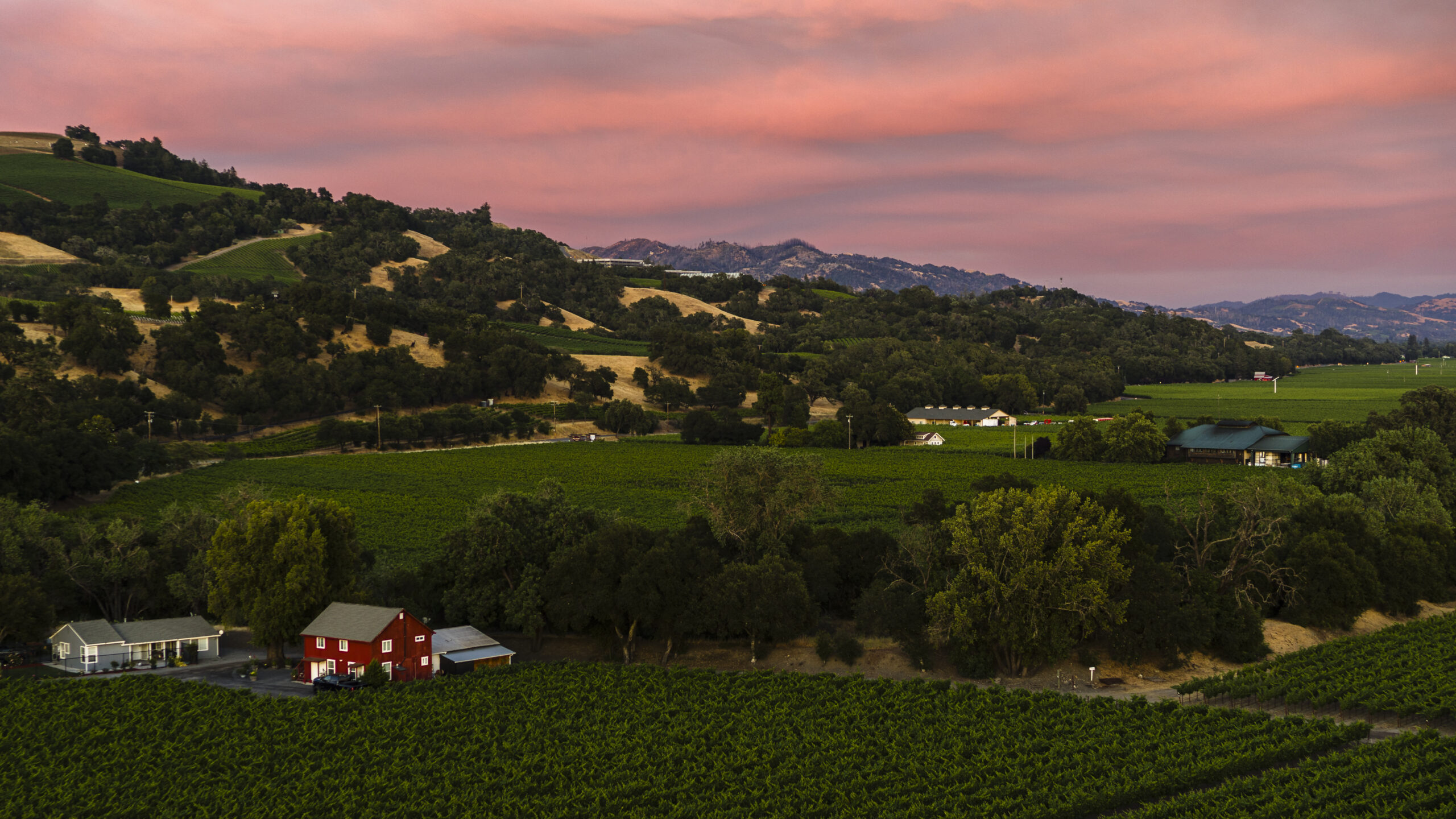 Sonoma County