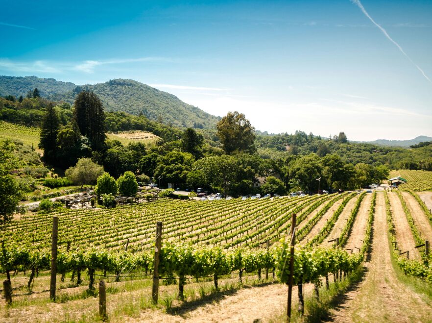 Sonoma County, California, USA