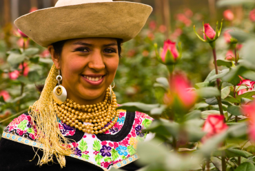 Ecuadorian Roses