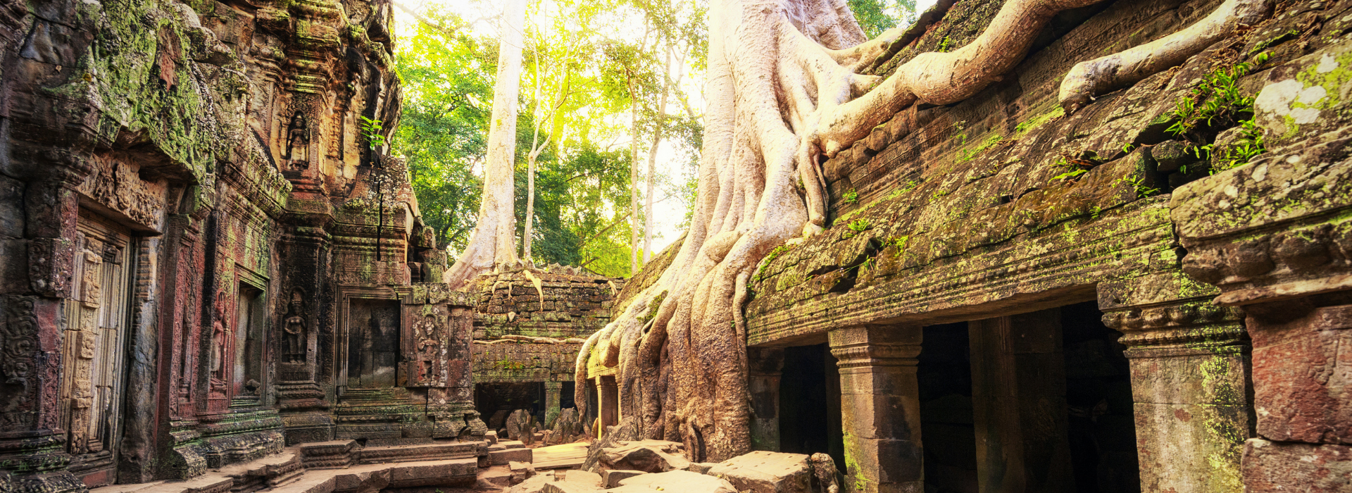 Angkor, Siem Reap, Cambodia