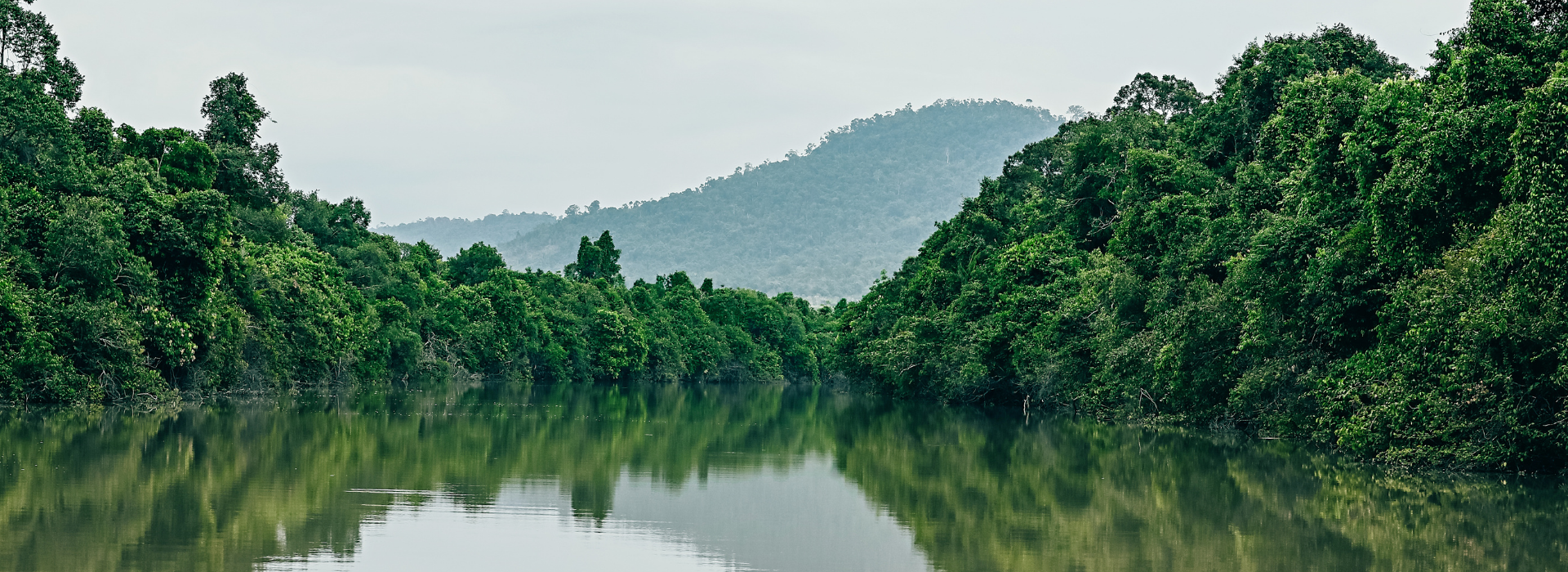 Shinta Mani Wild, Cardamom Mountains, Cambodia